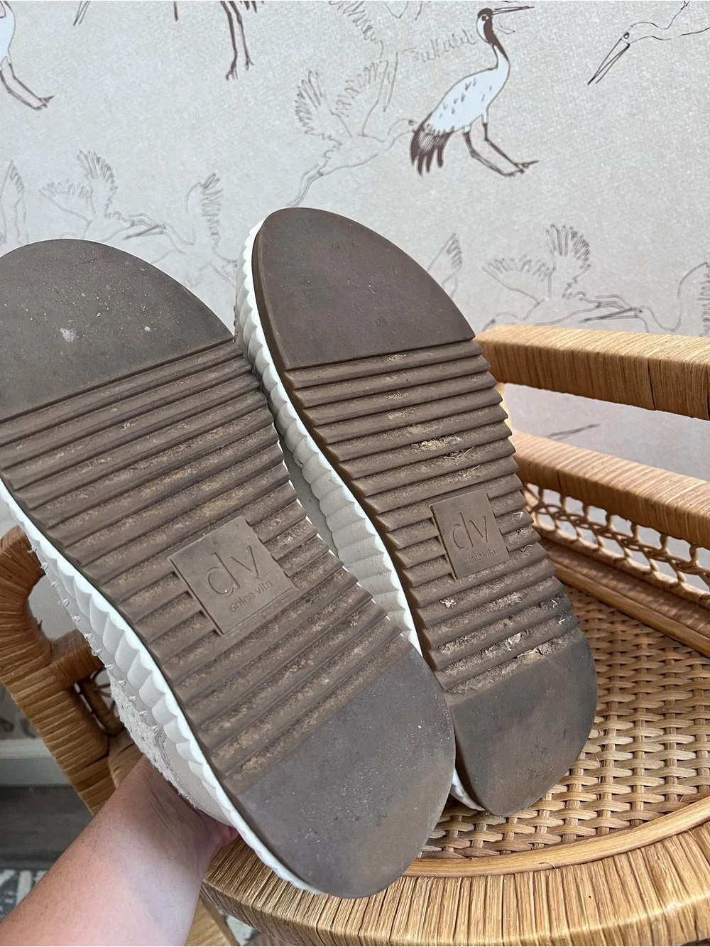 Dolce vita woven knit sneakers